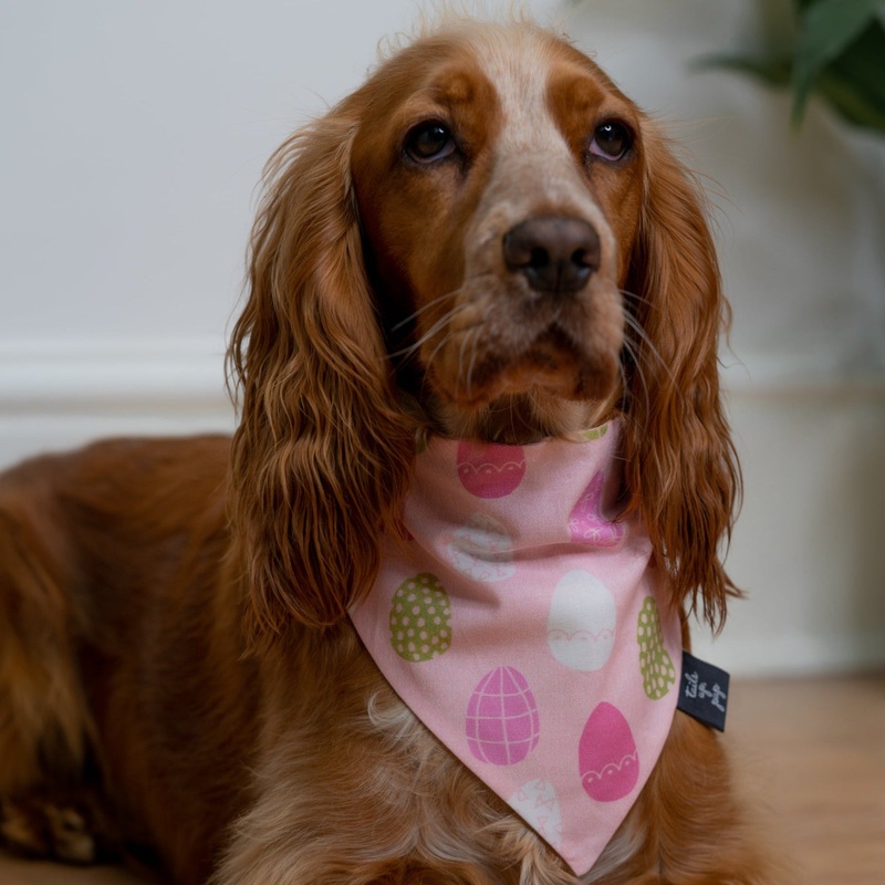 Pink Easter Egg Bandana for Dogs