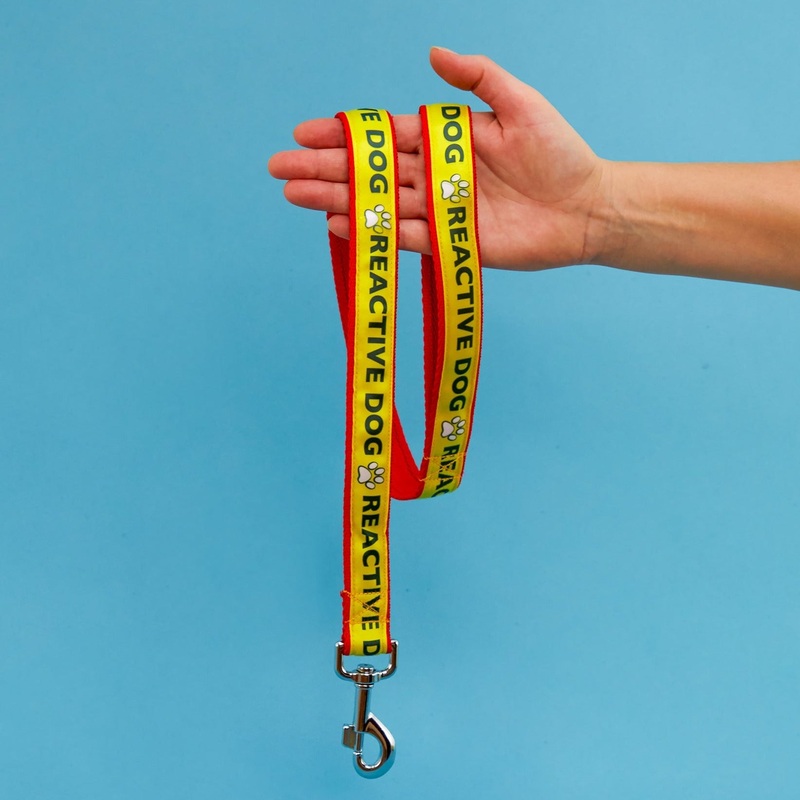 "Reactive Dog" Warning Lead