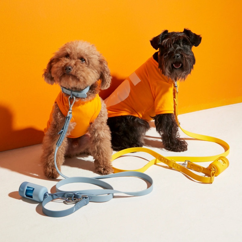Rose W. Adjustable Waterproof Dog Lead