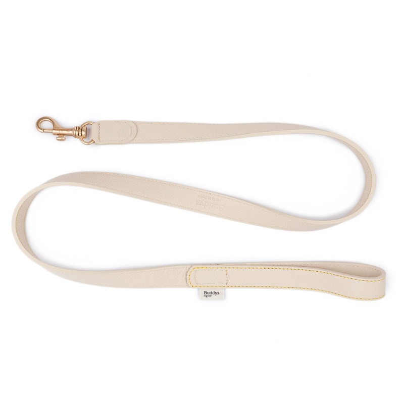 Sir Chuck Dog Lead