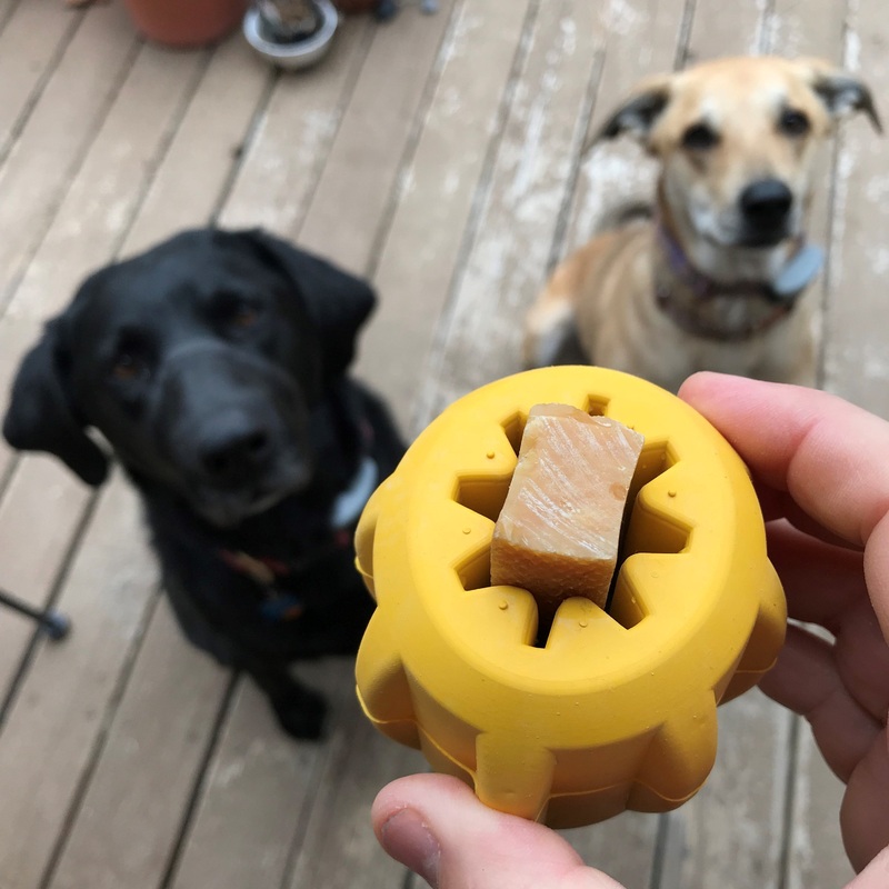 SodaPup ID Gear Treat Holder Ultra Durable Chew Toy