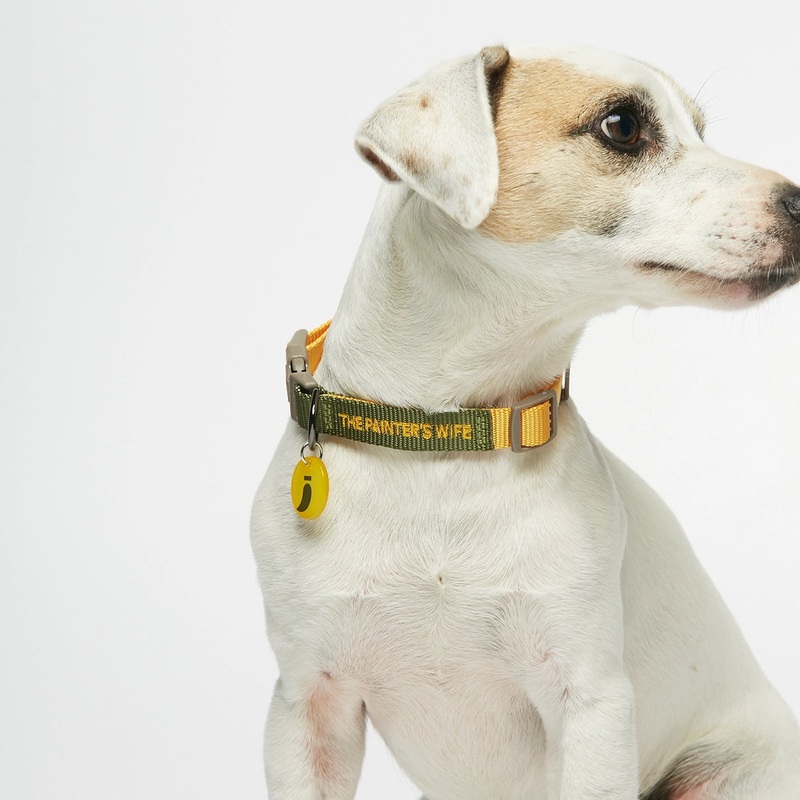 Sonia Dog Collar - Mimosa & Moss