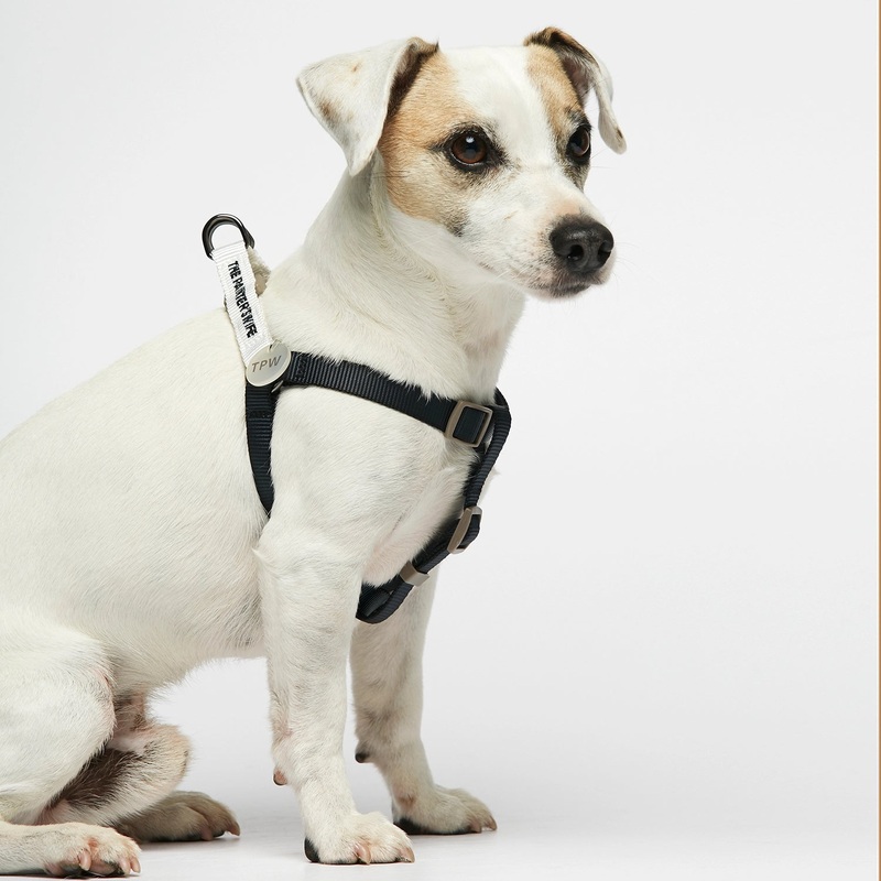Sonia Dog Harness - Navy and White