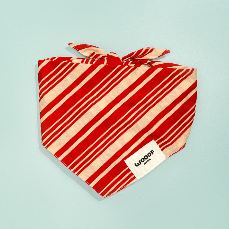 Sugar Christmas Dog Bandana