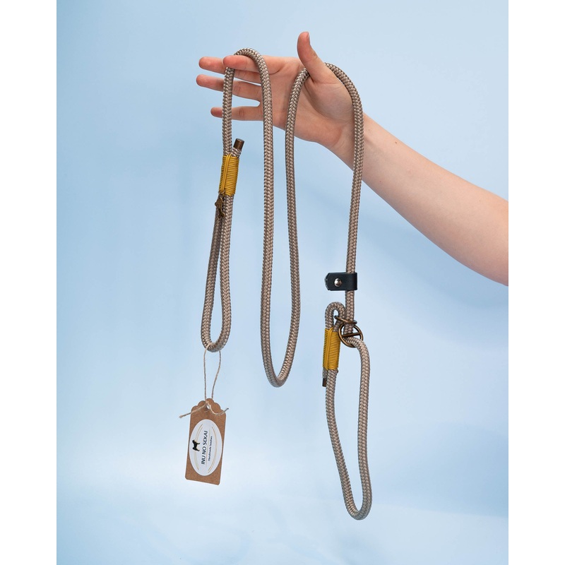 Tan & Yellow Slip Leash for Dogs