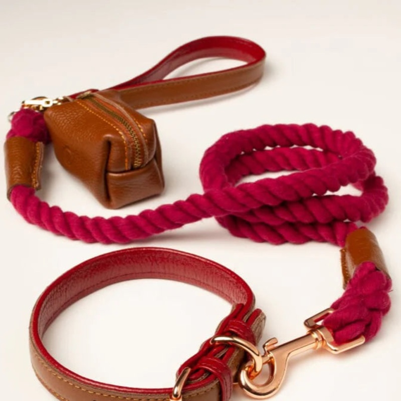 Willow Walks Rope Dog Lead with Padded Soft Leather Handle
