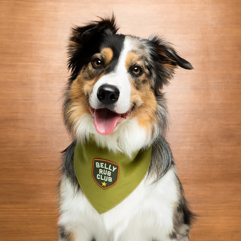 Belly Rub Club Scouts Honour Patch