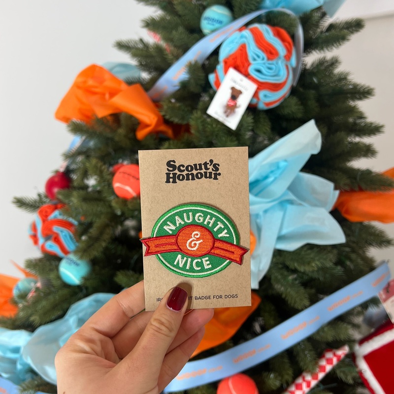 "Naughty & Nice" Iron-On Patch Dog Accessory