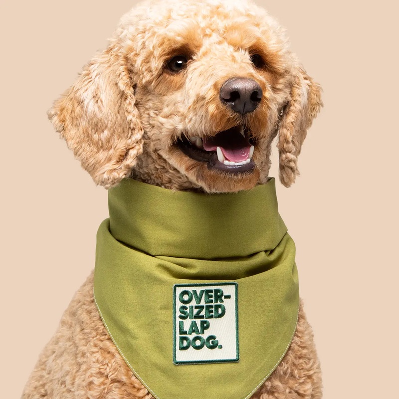 Oversized Lap Dog Scouts Honour Patch