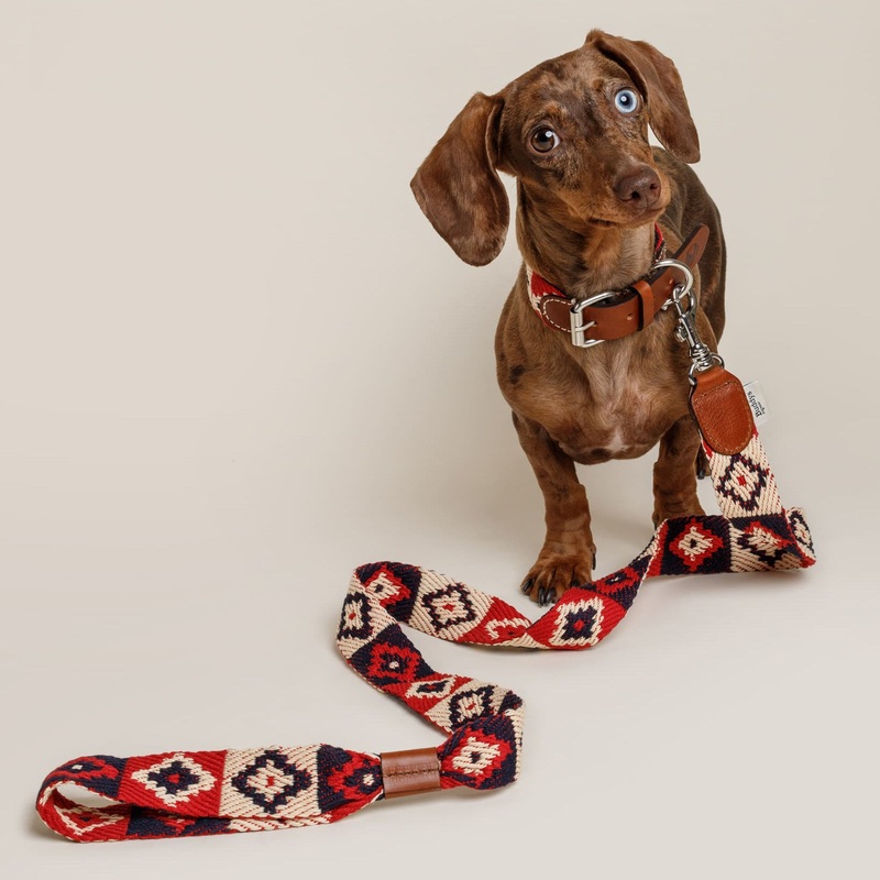 Peruvian Indian Dog Lead