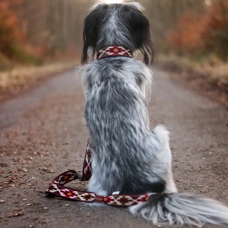 Peyote Red Adjustable 2mt Leash Adjustable Dog Lead