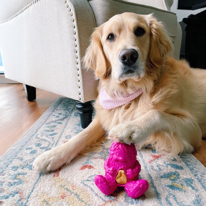 Pink Dogsee Yeti Yak Enrichment Treatoy