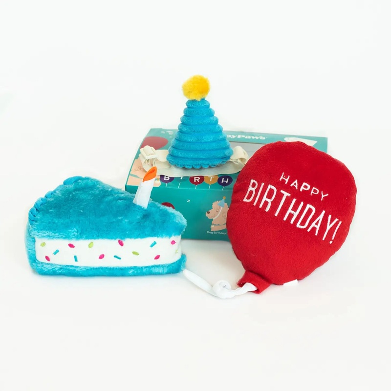 Pup Birthday Box Soft Dog Toys
