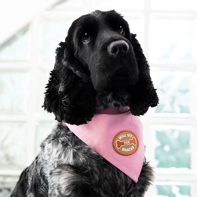 Will Sit for Snacks Scout's Honour Patch