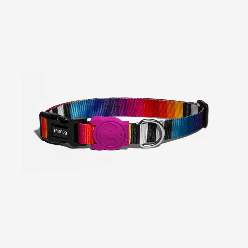 Zee.Dog Prisma Dog Collar