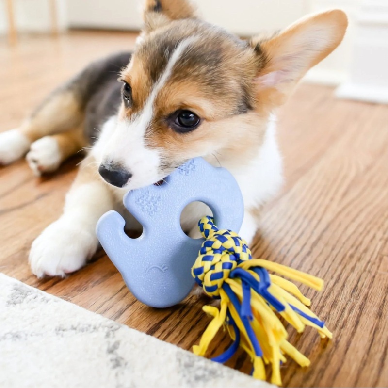 ZippyTuff Teether Puppy and Dog Chew - Elephant