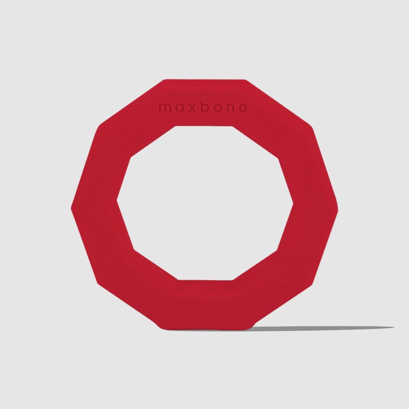 Red Decagon Rubber Dog Chew Toy