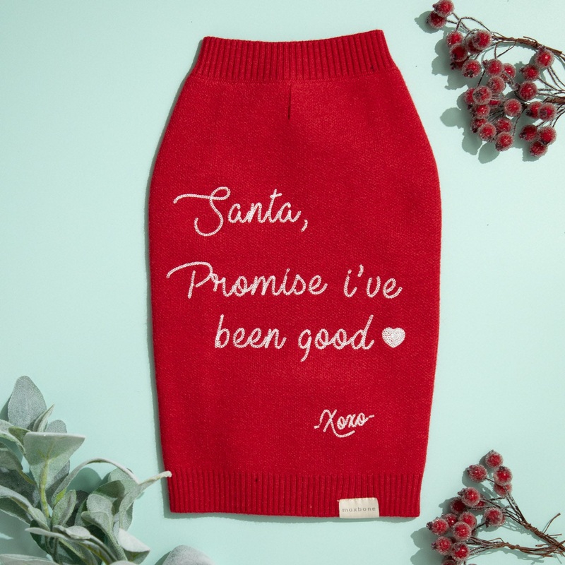 "Santa, Promise I've Been Good" Red Christmas Jumper for Dogs - Small