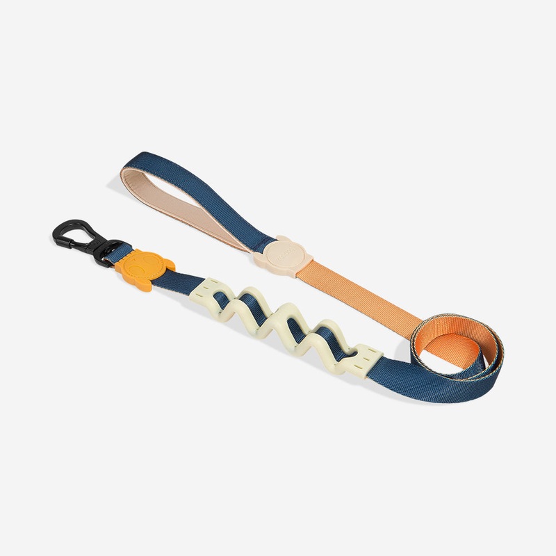 Zee.Dog Voyage Ruff Dog Leash 2.0