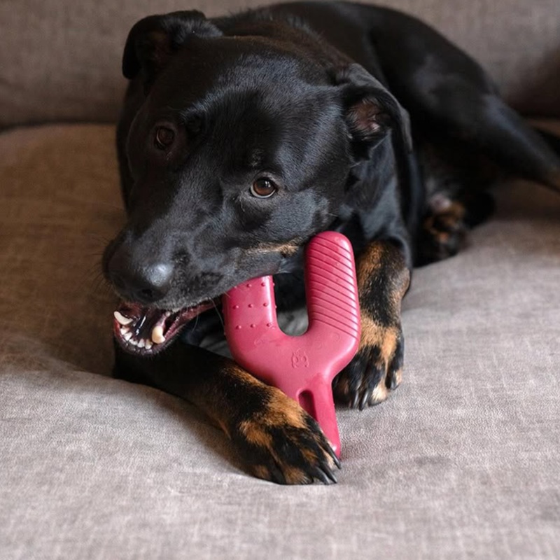 Zee.Dog Wishbone Chew Toy