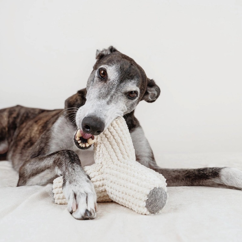 "Breuer" Soft Squeaky Crinkly Enrichment Dog Toy