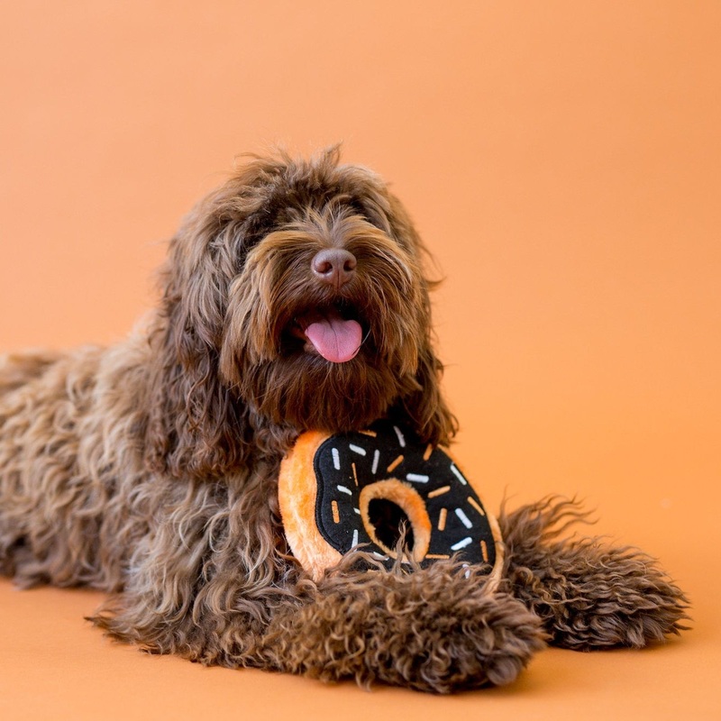 Donutz "Pumpkin Spice" Soft Squeaky Dog Toy