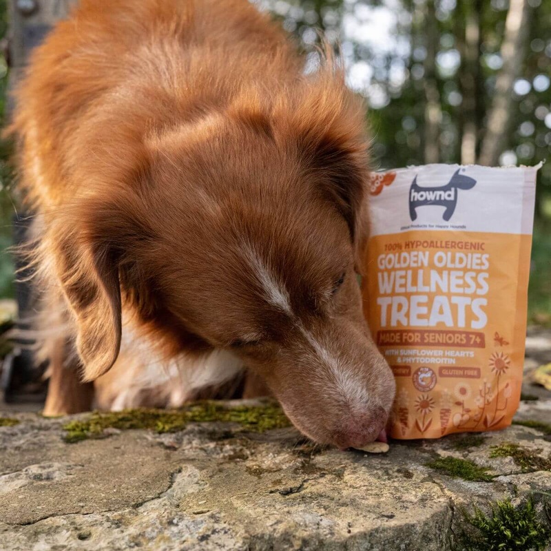 Golden Oldies 7+ Hypoallergenic Wellness Treats for Senior Dogs - 100g