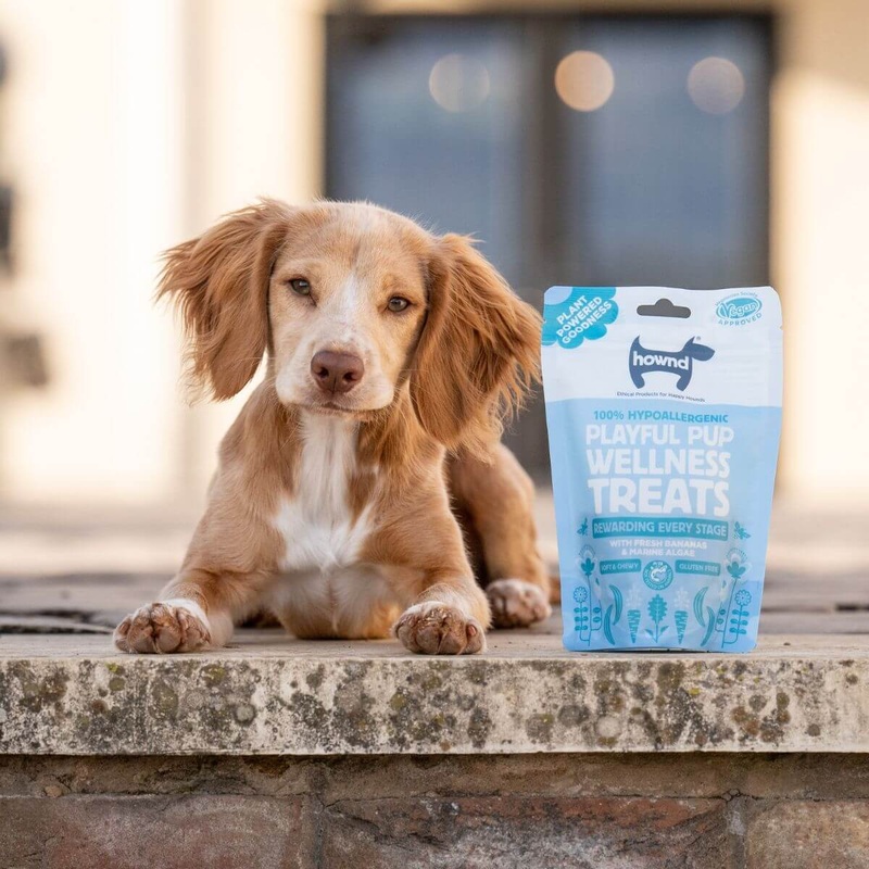 "Playful Pup" 8 Weeks+ Hypoallergenic Wellness Treats for Dogs - 100g