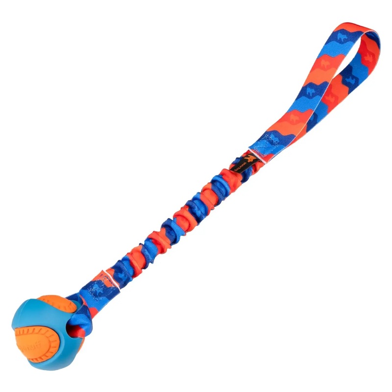 Powerball Bungee Tug Ball Dog Toys