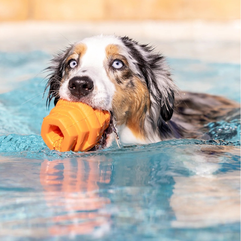 Scented Large Hive Treat Dispenser & Enrichment Toy for Dogs