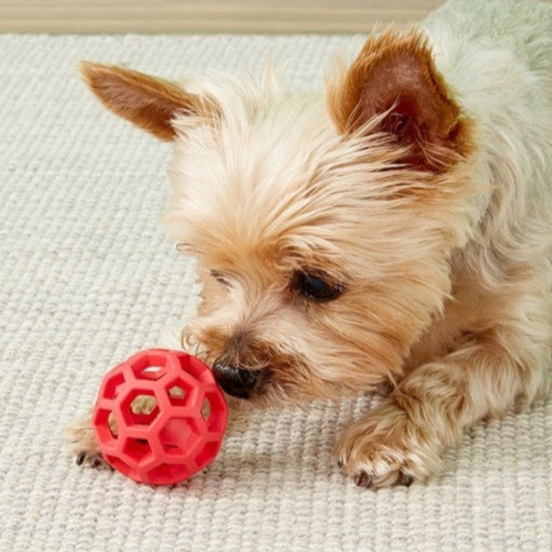 J W Hol-ee Roller Mini, Training Treat Dispenser, Puzzle Dog Ball Toy