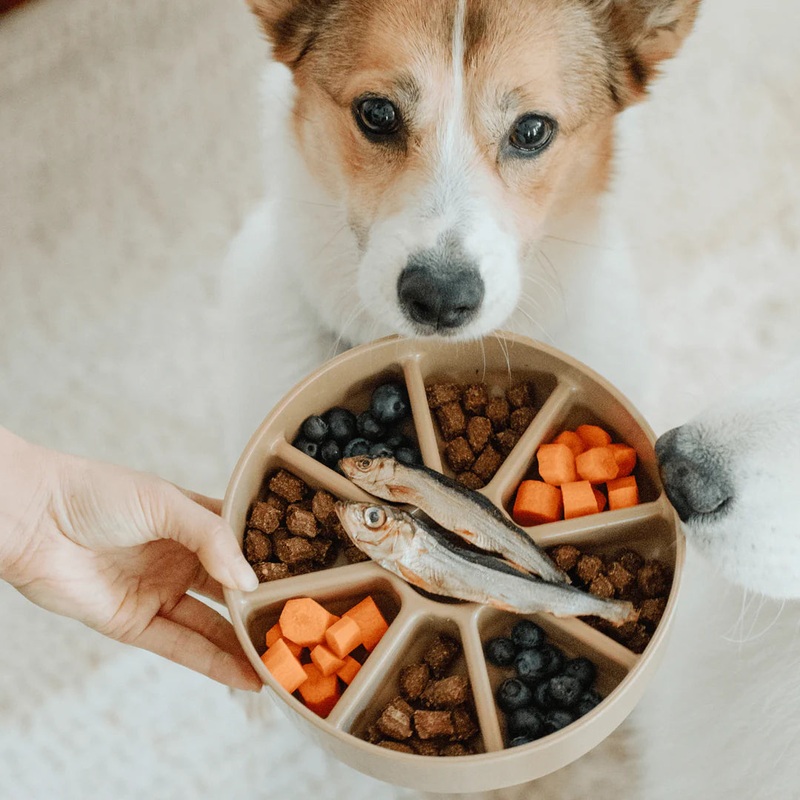 Lambwolf Collective 3-in-1 Bento Bowl for Dogs - Tan