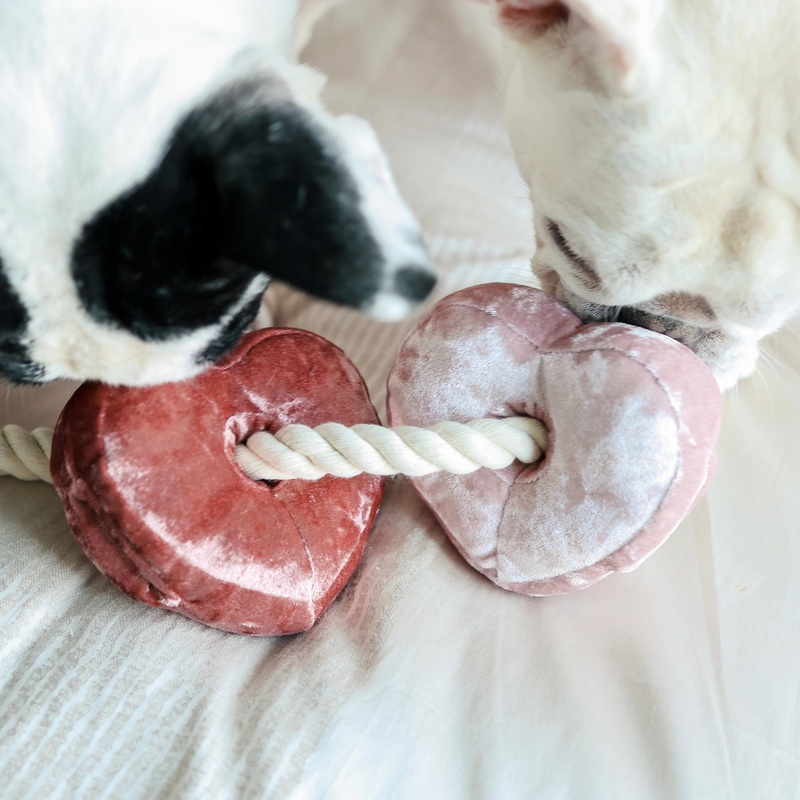 Lambwolf Collective Heart Bloc Rope toy for Dogs