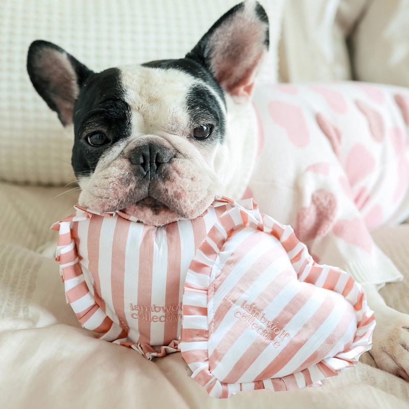 Lambwolf Sweetheart Heart Shaped Soft Squeaky Toy for Dogs