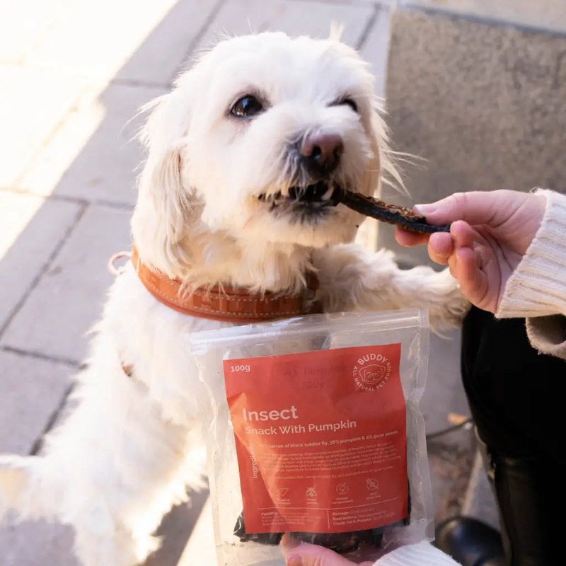 No-Meat Filets, Insect and Pumpkin Chew Treats for Dogs - 100g