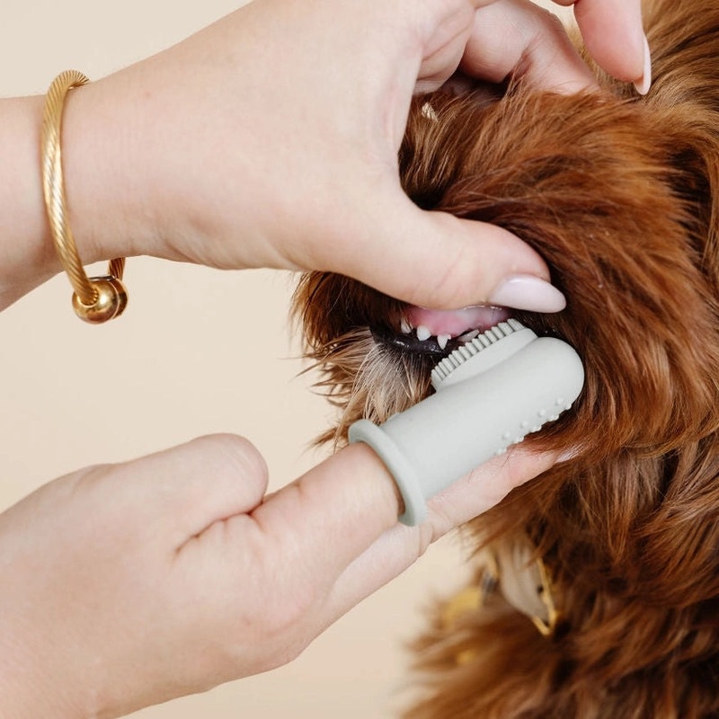 Pupwell Puppy Breath Finger Toothbrush
