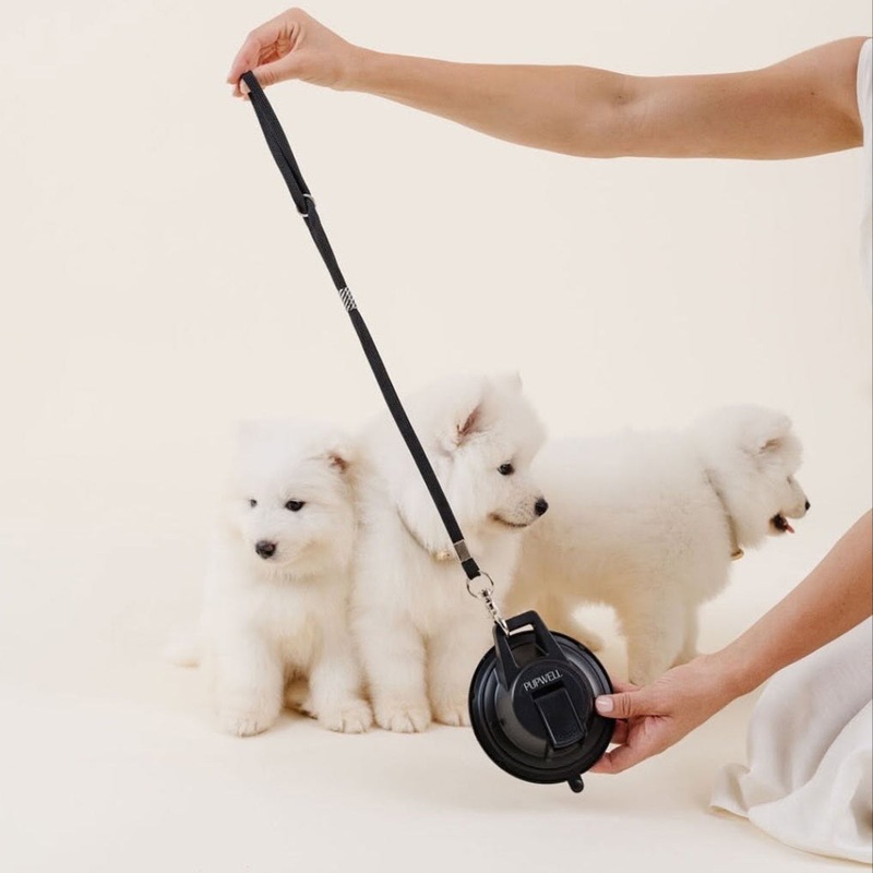 Pupwell Stay in One Place Lead for Dog Grooming & Bath Time