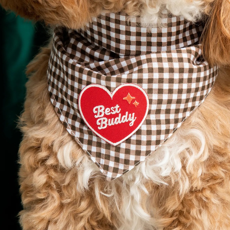 Scout's Honour Best Buddy Iron On Patch Merit Badge for Dogs & Cats