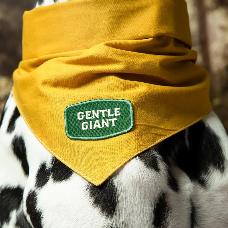 Scout's Honour Gentle Giant Iron On Patch Merit Badge for Dogs & Cats