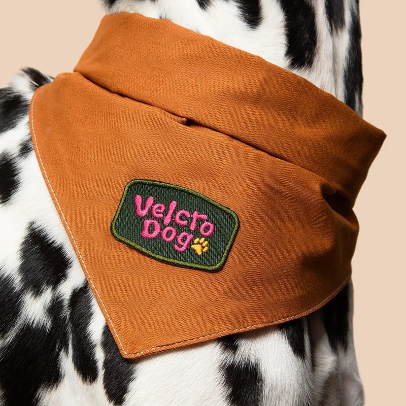 Scout's Honour Velcro Dog Iron On Patch Merit Badge for Dogs & Cats