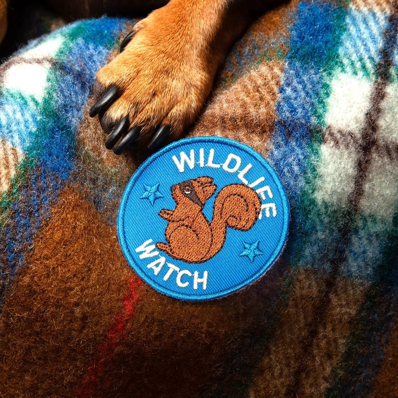 Scout's Honour Wildlife Watch, Iron On Patch Merit Badge for Dogs & Cats
