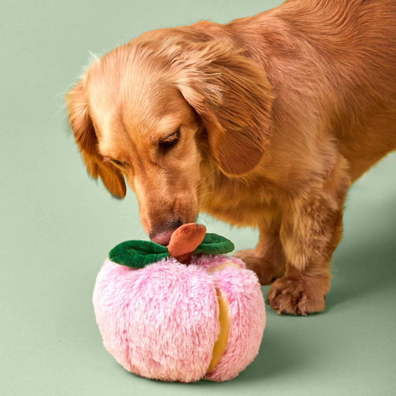 The Foggy Dog Apple Interactive Snuffle, Squeaky, Crinkly Enrichment Toy