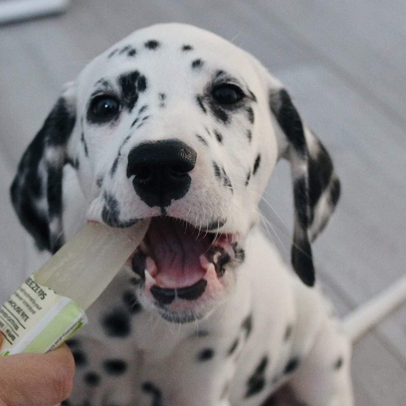 Woof & Brew Pawsecco Ice Pops for Dogs & Cats - 6x50ml