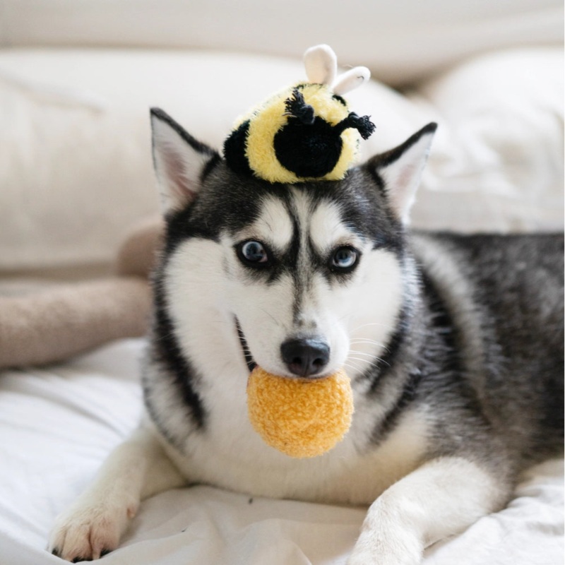 "Bee Pop" Bee Toy Enrichment Snuffle Ball Soft Toy for Dogs