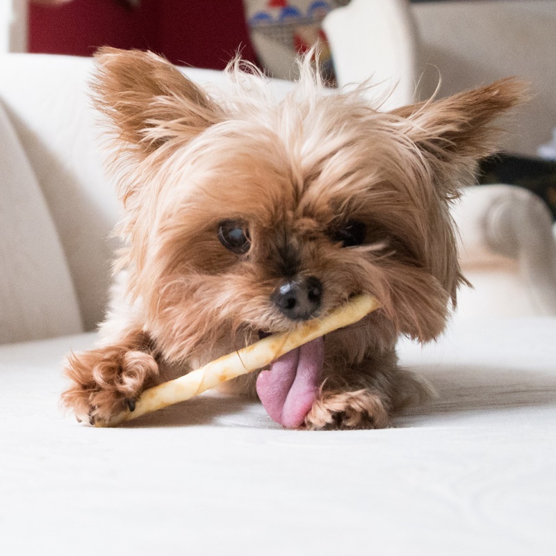 Earth Animal No Hide Venison Stix Dog Chews - 10 Pieces