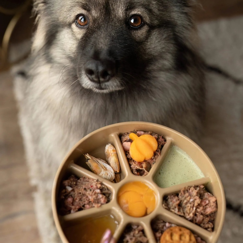 Lambwolf Collective 3-in-1 Bento Bowl for Dogs - Dunes