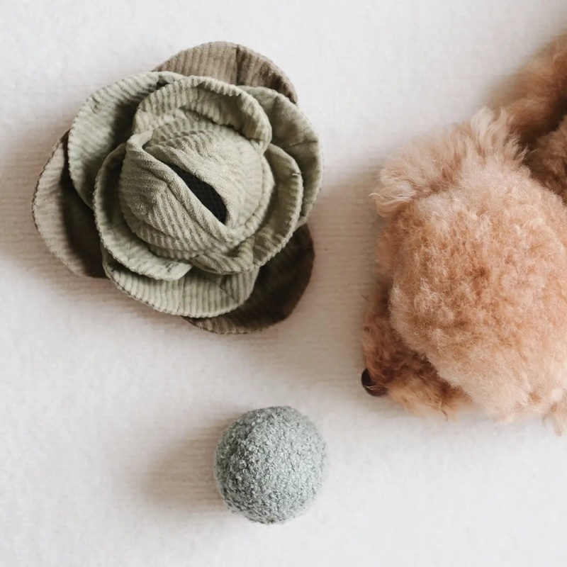 Lambwolf Collective Green Cabbage Pop Snuffle Toy