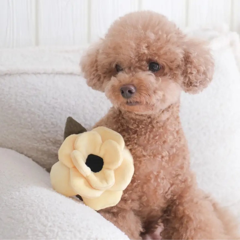 Poppy Soft Snuffle Enrichment Toy for Dogs