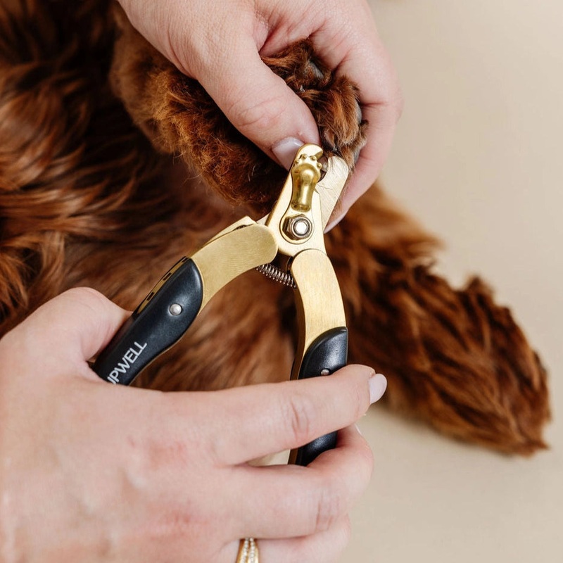 Pupwell Iconic Nail Duo Kit