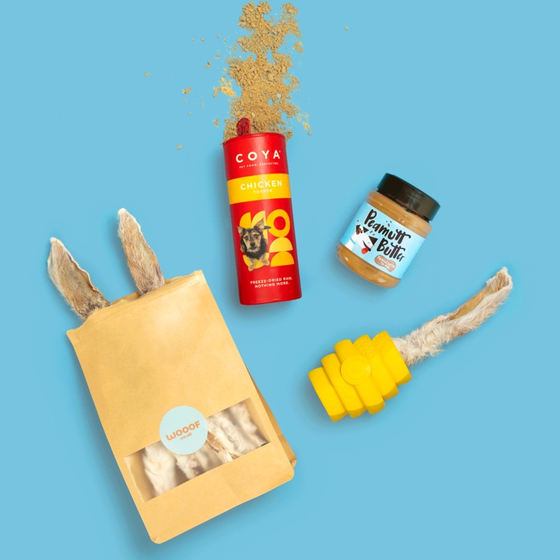 The "Un-Bee-Lievable" Enrichment Gift Bundle for Dog